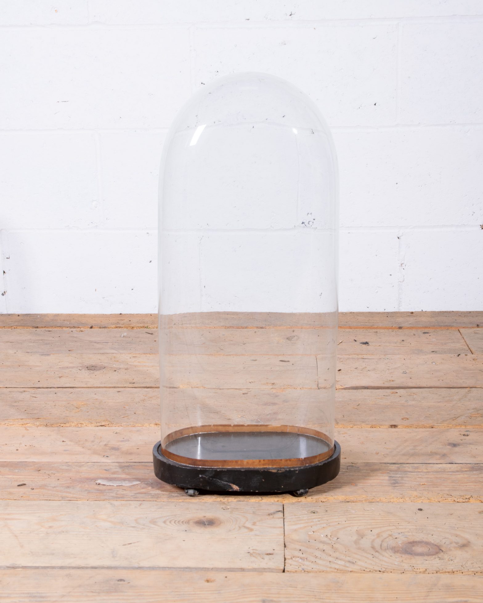 Hand Blown Oval Display Dome