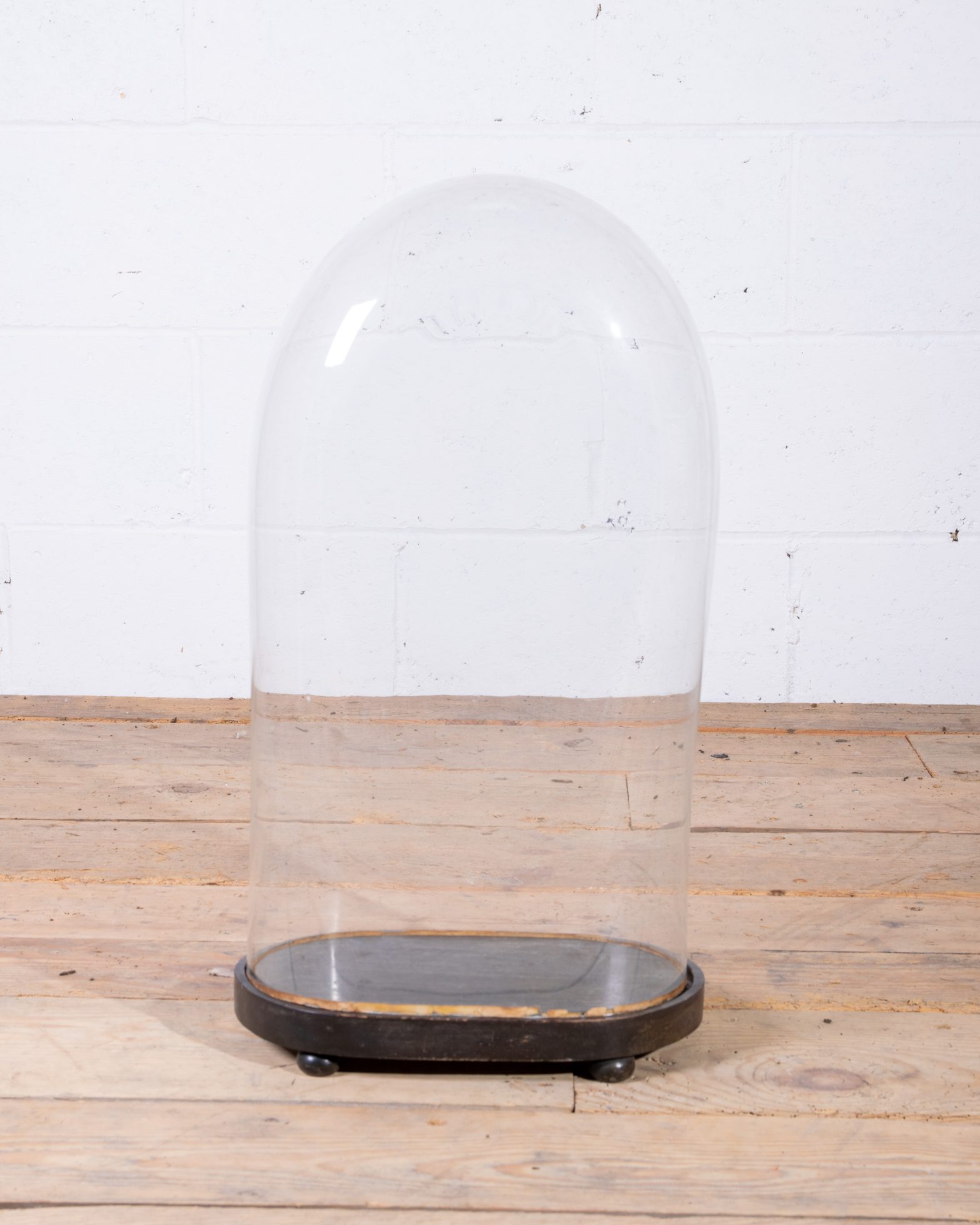 Hand Blown Oval Display Dome